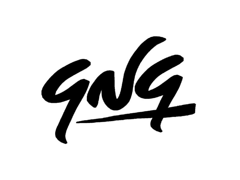 Giulio Negrini Guitars – GNG