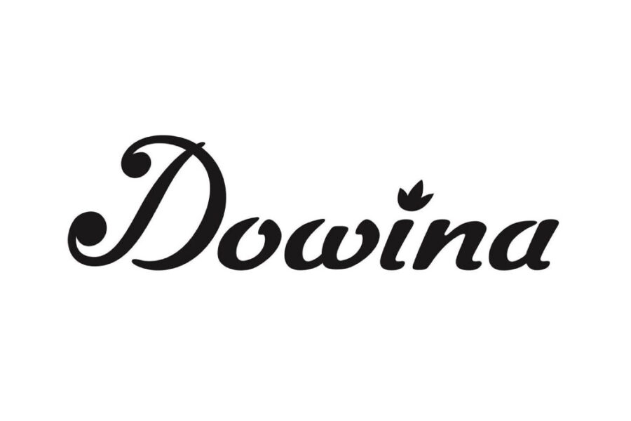 Dowina Guitars